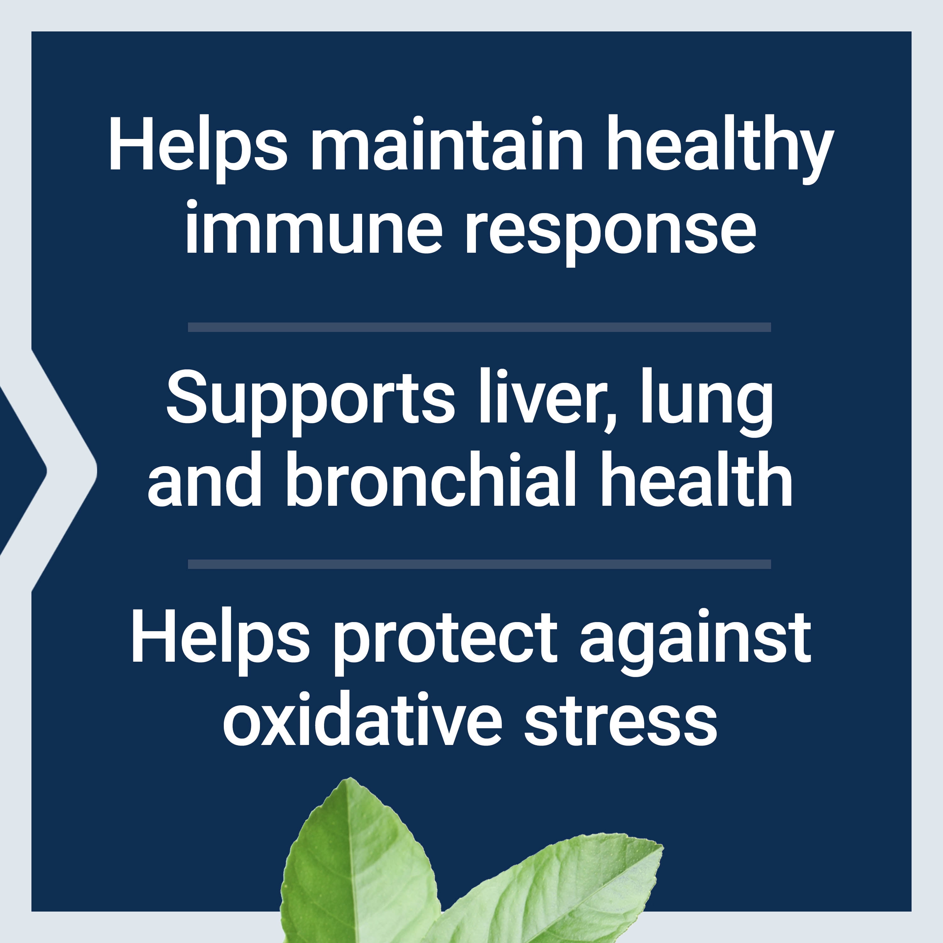 (4 pack) Life Extension NAC N-Acetyl-L-Cysteine, Immune Support, Respiratory Health, Liver Function, 600 mg, 60 Capsules