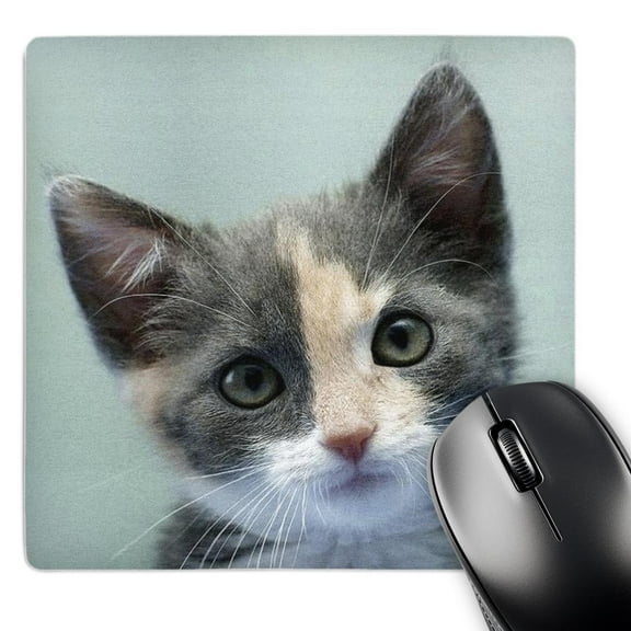 3dRose, gray and white kitten face, MousePad