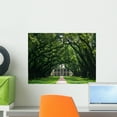 thumbnail image 1 of Oak Alley Wall Mural by Wallmonkeys Peel and Stick Graphic (18 in W x 14 in H) WM70130, 1 of 4