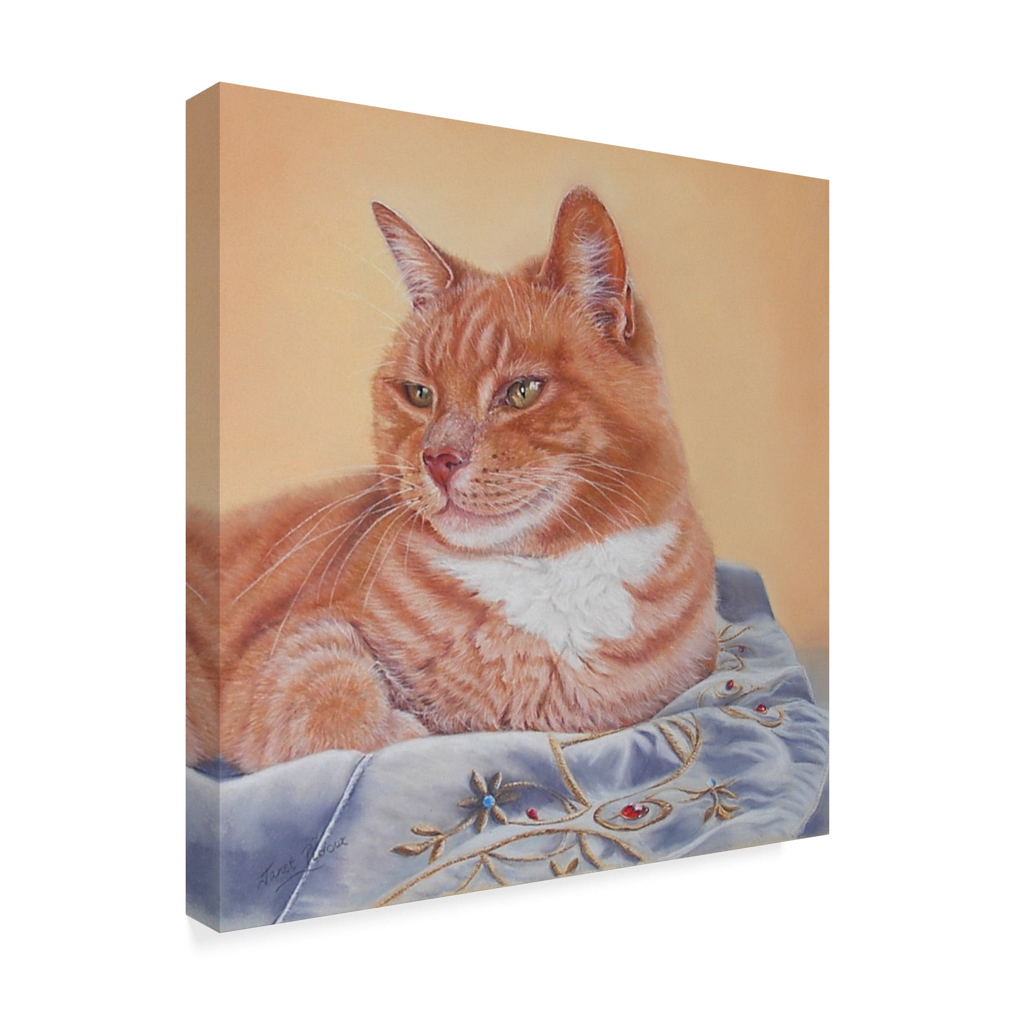 Trademark Fine Art 'Jack Silk Blanket' Canvas Art by Janet Pidoux