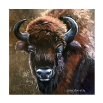 Eileen Herb-Witte 'Buffalo Bob' Canvas Art