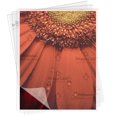 thumbnail image 2 of Fellowes Thermal Laminating Pouches - ImageLast™, Jam Free, Letter, 5mil, 200 pack, 2 of 3