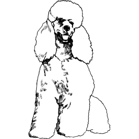 Do It Yourself Wall Decal Sticker Walking Dog Childrens Animal Removable Stick On Print 15×22