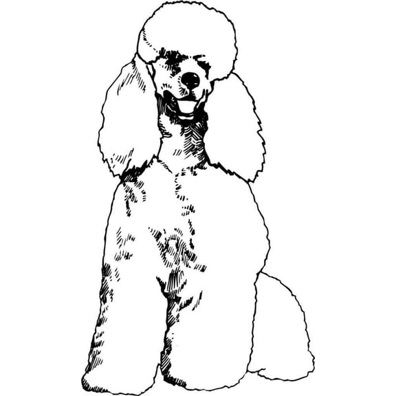 Children Lovely Animal Wall Decal Decoration Cute Sitting Poodle Dog Lasts Years and Easily Removable - Size: 7 In(W) x 10 In(H)