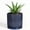 Retro Blue, variant on Wliror 4 Inch Retro Blue Ceramic Planter Pot with Drainage Hole & Saucer, Decorative Indoor Flower Pot for Succulent Cactus Herb Desk Windowsill Decor