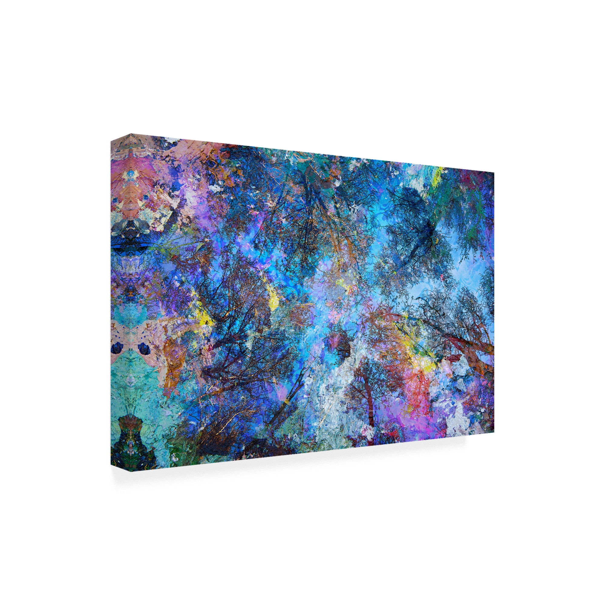 Trademark Fine Art 'Dreaming up to the Trees' Canvas Art by Michael Broo