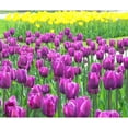 thumbnail image 3 of CafePress - Spring Easter Tulip Blossms Large Mug - 15 oz Ceramic Large White Novelty Mug, 3 of 6