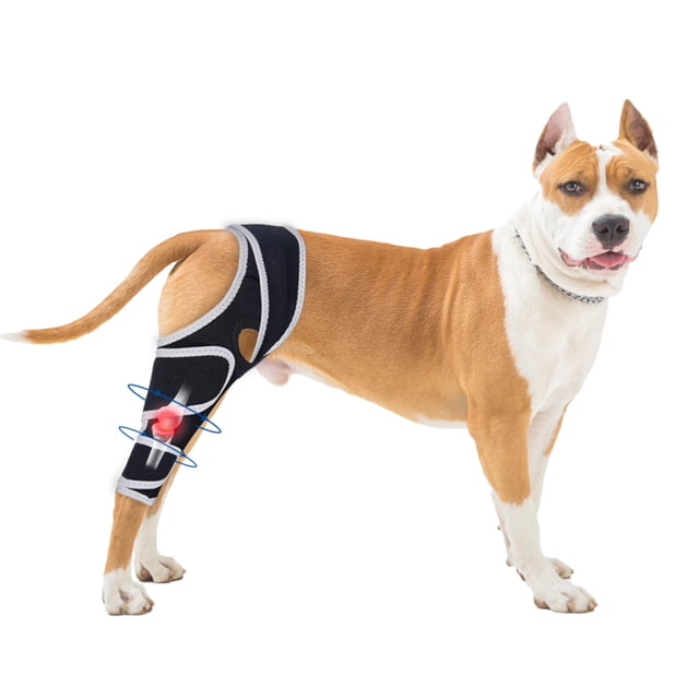 Rodillera para perros Moysoon para desgarro del ligamento cruzado anterior y pata trasera Universal XL
