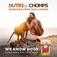 thumbnail image 7 of Nutri Chomps Premium Rawhide-Free Braided Dog Chews, Real Chicken, 6 Inch, 4 Count, 7 of 7