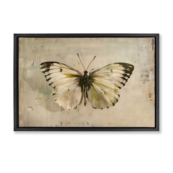 Stupell Industries Shabby Chic Graceful Vintage Butterfly Black Floating Frame Canvas Art, 25 x 17, by Creative Studio