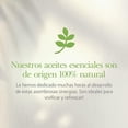thumbnail image 3 of Aceite Esencial Menta Arvensis 10 Ml Aromaterapia Herbolare Herbolare Menta Arvensis, 3 of 3