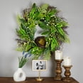 thumbnail image 2 of Northlight Bird's Nest in Mixed Foliage Artificial Spring Wreath  - 24", 2 of 9