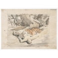 thumbnail image 2 of Antoine-Louis Barye 14x11 Gold Ornate Wood Frame and Double Matted Museum Art Print Titled - Tiger Devouring a Man (19th Century), 2 of 4