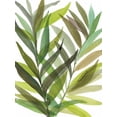 thumbnail image 2 of Meyers, Rebecca 25x32 White Modern Wood Framed Museum Art Print Titled - Tropical Greens I, 2 of 4