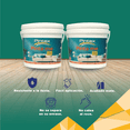 thumbnail image 3 of PINTEX Galon de Pintura para Pared Vinil-Acrílica | Fácil Aplicación, Alta Cobertura y Resistente a la Lluvia | Pintura Acrilica para Interiores Exteriores Mate | 3.8 L c/u | Color (VERDE PERICO), 3 of 8
