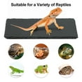 thumbnail image 5 of Unique Bargains Reptiles Slate Rocks Basking Surface Reptile Basking Platform Enhances Climbing Activity 7.87"x3.94" Black Gray, 5 of 7