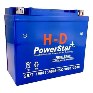 Bright Way Group YTX30L-BS (FA) Battery For Harley-Davidson Touring FL/FLH 2007-2009 – 12V 30Ah 385 CCA AGM