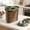 Green, variant on Airtight Pet Food Storage Container,Dirt Proof Wet Proof Sealed Lid,Clear Window for Visible Contents,Freshness Lock for Dog Cat Dry Food,Large Capacity Durable Plastic Bin for Home Use Green