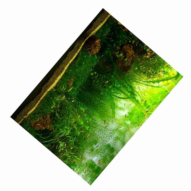 Fish Tank Background, Aquarium Background Terrarium Decor Water Grass Style Aquarium Poster PVC Adhesive Decor Paper Cling Decals Sticker for Aquarium Fish Tank Decoration