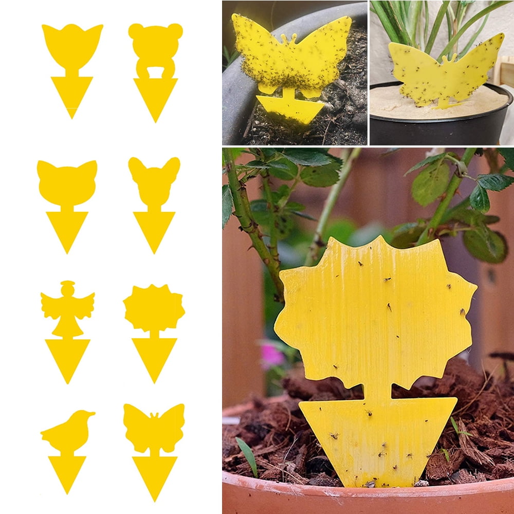 Pretty Comy Sticky Trap Fruit Fly and Gnat Trap Yellow Sticky Bug Traps for Indoor Outdoor Use Insect Catcher for White Flies Garden Supplie Butterfly