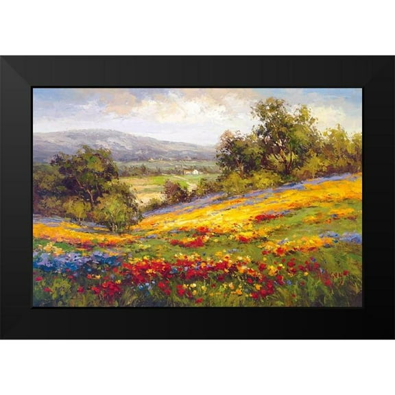 Hulsey 14x11 Black Modern Framed Museum Art Print Titled - Campo Di Fiore I