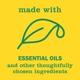 thumbnail image 6 of Mrs. Meyer's Clean Day Scented Soy Candle, Large, Honeysuckle Scent, 7.2  fl oz Candle, 6 of 8