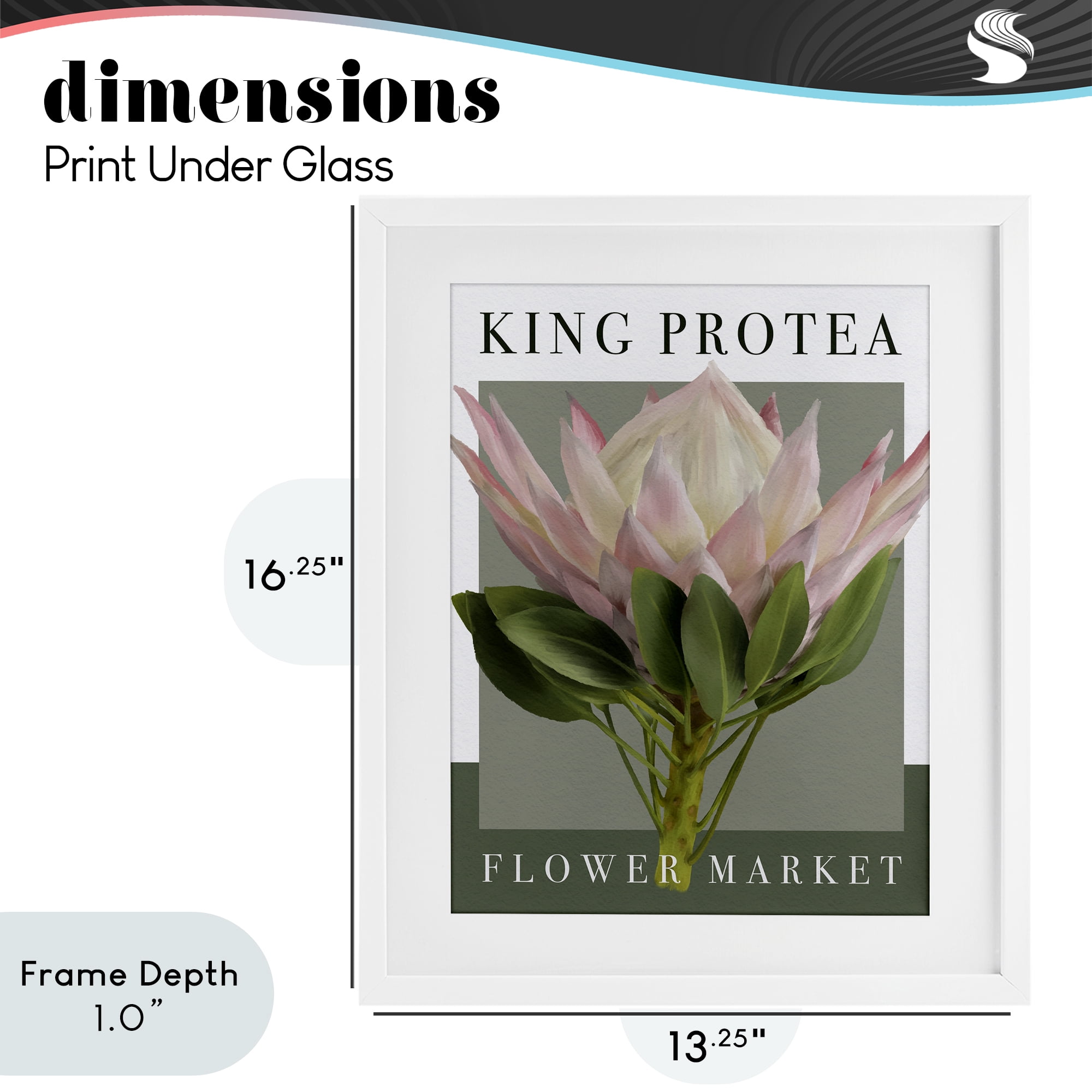 Stupell Industries King Protea Flower Market White Framed Print Under Glass, design by Jennifer Stith