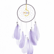 LGBT Rainbow Flag Proud Ally Dream Catcher Wall Hanging Feather Decor