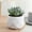 A, variant on HOARBOEG Mini Plastic Potted Artificial Fake Plants for Home Office Desk Decor Indoor Faux Greenery Gift