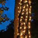 thumbnail image 3 of Kringle Traditions Outdoor Trunk Lights, Outdoor String Lights Tree Lights Trunk Wrap Lights â€“ Tree Wrap Christmas Lights (2â€™ x 8â€™, 100 Lights, Clear Lights, Brown Wire), 3 of 5