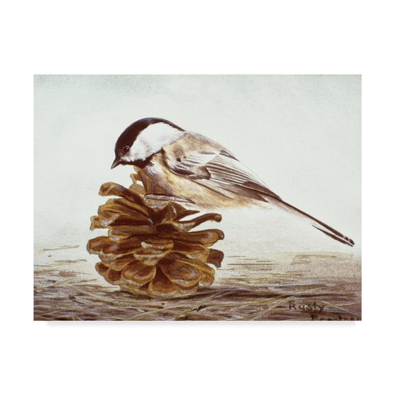 Trademark Fine Art 'Black Capped Chickadee' Canvas Art by Rusty Frentner