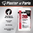 thumbnail image 4 of Dap 10312 Plâtre de Paris - 25 Lb, 4 of 4