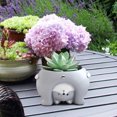thumbnail image 3 of Clearance Desktop Ornament under $10,Succulent Planter Pot Animal Cactus Bonsai Flower Pots With Drainage Hole, 3 of 8