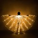 thumbnail image 1 of Luces LED para danza del vientre, ala de Isis con palos, disfraz de danza del vientre, ala de Isis en ángulo, 1 of 8