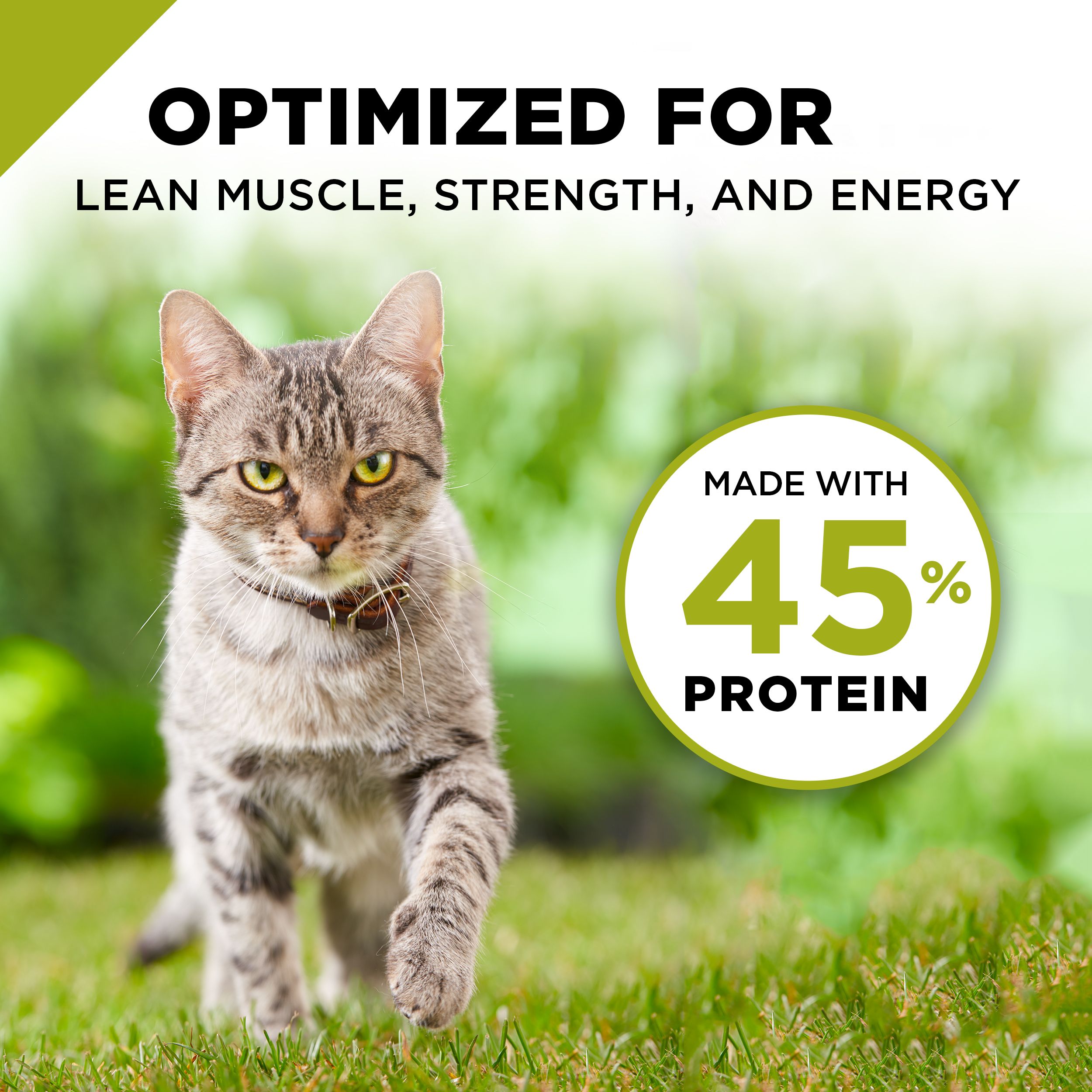 purina pro plan true nature turkey & rice recipe dry cat food