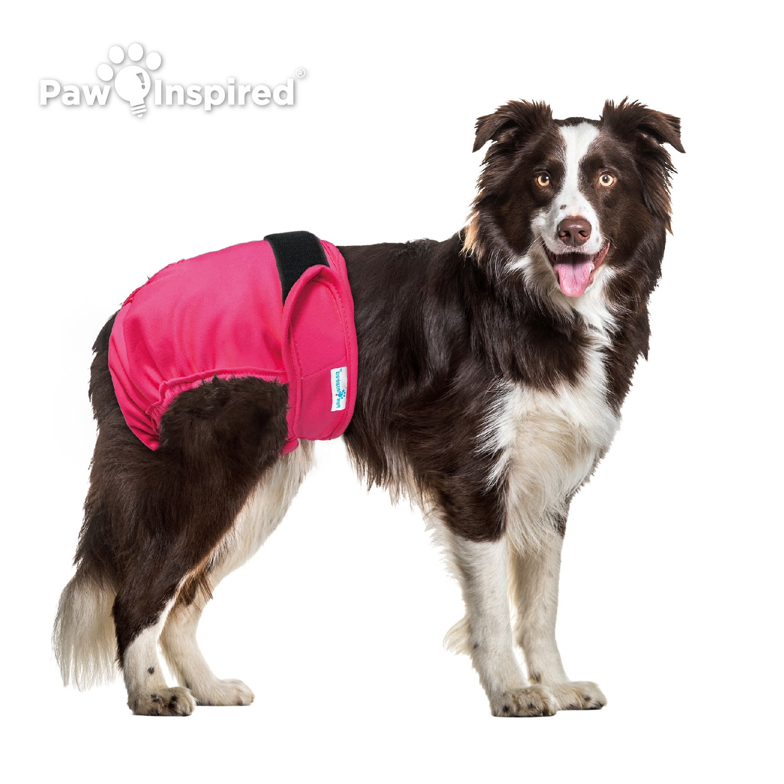 Paw Inspired 2ct Washable Reusable Dog Diapers for Female Doggie, Puppy, Cat | Cloth Diapers for Dogs in Heat, Pet Diapers | Incontinence Diapers that Stay On (Assorted (Black Lining), Large)