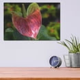 thumbnail image 4 of Luxe Metal Art ' Antherium' by Don Spears, Metal Wall Art, 16"x12", 4 of 9