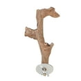 thumbnail image 4 of Tachiuwa Suction Cup Wood Perch Toy Bird Perch Toy for Bluebirds Hummingbird Parakeet 15cm, 4 of 9
