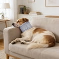 thumbnail image 4 of Collier de Récupération Confortable pour Collier de Récupération Anti-Lick Chirurgical pour Chats après Chirurgie, 4 of 6
