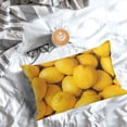 thumbnail image 5 of Honeii Ripe Yellow Lemon Print Pillow Cases,Plush Throw Pillow Covers,Decorative Pillowcase for Sofa, Couch, Living Room-14"x20", 5 of 6
