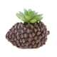 thumbnail image 4 of Planta De Flor De Loto De Piedra Suculenta Artificial Decoración De Mesa De Jardín Para El Hogar Verde, 4 of 5