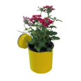 thumbnail image 3 of Wall Mates Push 'N Stay Round Suction Flower and Plant Holder, 3 of 5