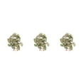 thumbnail image 2 of Injueey Hermosas plantas de terrario - Naturaleza en interiores Sin necesidad de riego Plantas Decoraciones artificiales Sandía de otoño Type1 NO1, 2 of 6