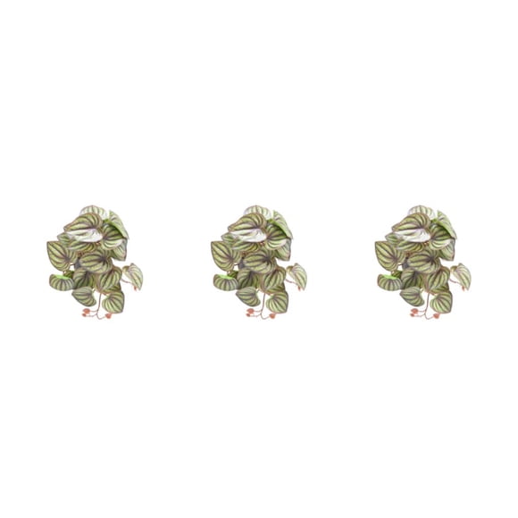 Matsuzay Plantas artificiales vibrantes para terrarios: iluminar las plantas del espacio habitable Plantas de terrario artificiales Sandía de Type1 NO1