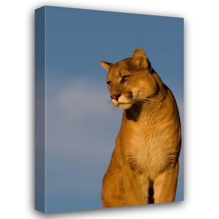 Susann Parker 13x18 Gallery Wrapped Canvas Wall Art Titled - The Perfect View