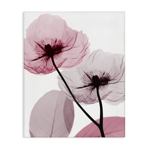 Stupell Industries Glam Pink Poppy Flowers Canvas Art, 16 x 20, by Albert Koetsier