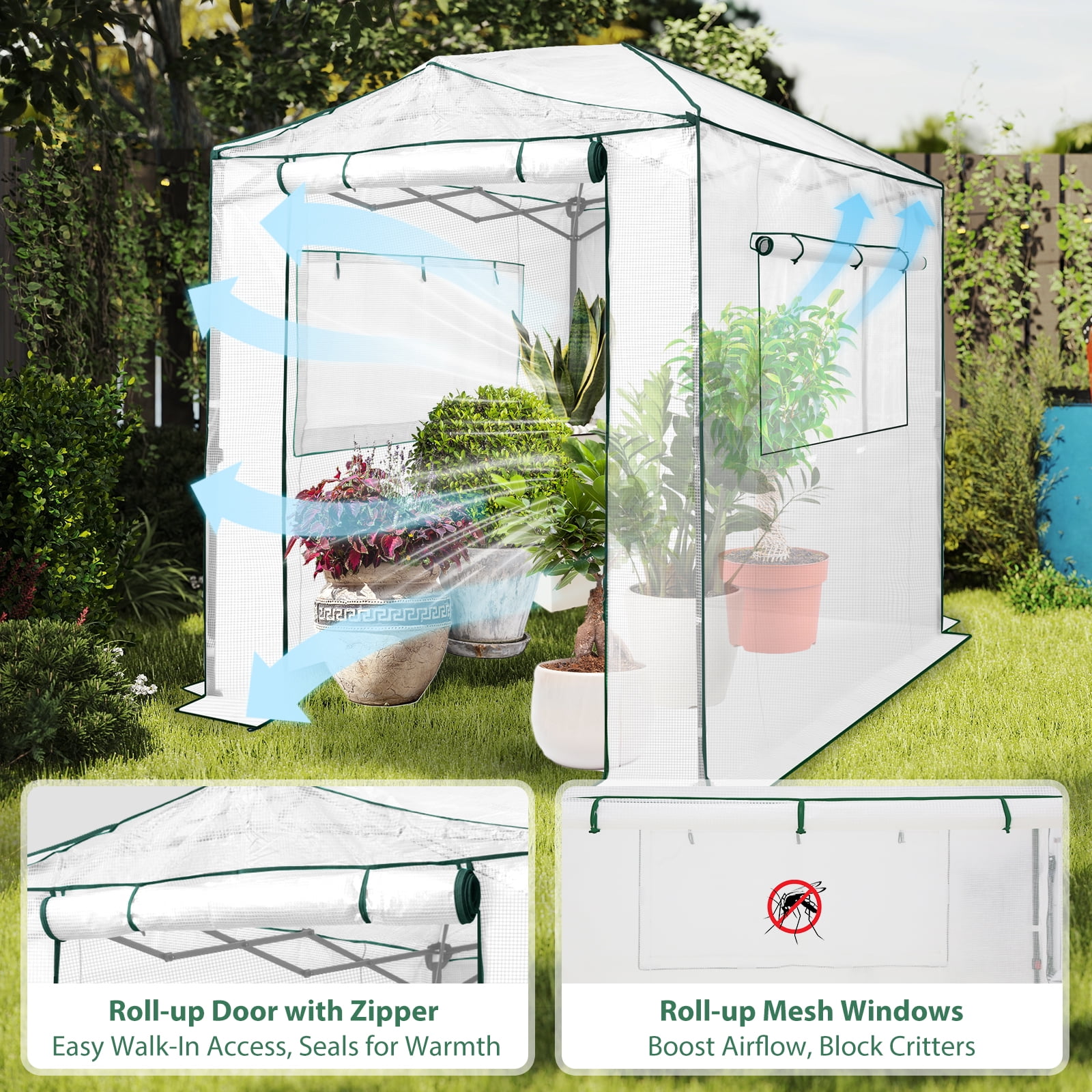 EAGLE PEAK 8x6 Portable Walk-in Greenhouse Instant Pop-up Fast Setup Indoor Outdoor Plant Gardening Greenhouse Canopy, Front and Rear Roll-Up Zipper Entry Doors and 2 Large Roll-Up Side Windows