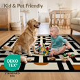 thumbnail image 4 of ODIKA 5'x7' Ultra-Soft Area Rug, Black Cream Geometric Contemporary Abstract Mid Century Interlocking Arch Knot Design Washable, Bare feet friendly, Silk-Touch for Bedroom Home office, 4 of 7