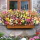 thumbnail image 5 of Flores Artificiales para Exteriores, 18 Paquetes de Plantas Artificiales para Exteriores, Flores Artificiales, Plantas Artificiales Resistentes A los Rayos UV, para Exteriores, 5 of 5