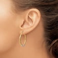 thumbnail image 3 of Primal Gold 14 Karat Tri-color Guadalupe Hoop Earrings, 3 of 4